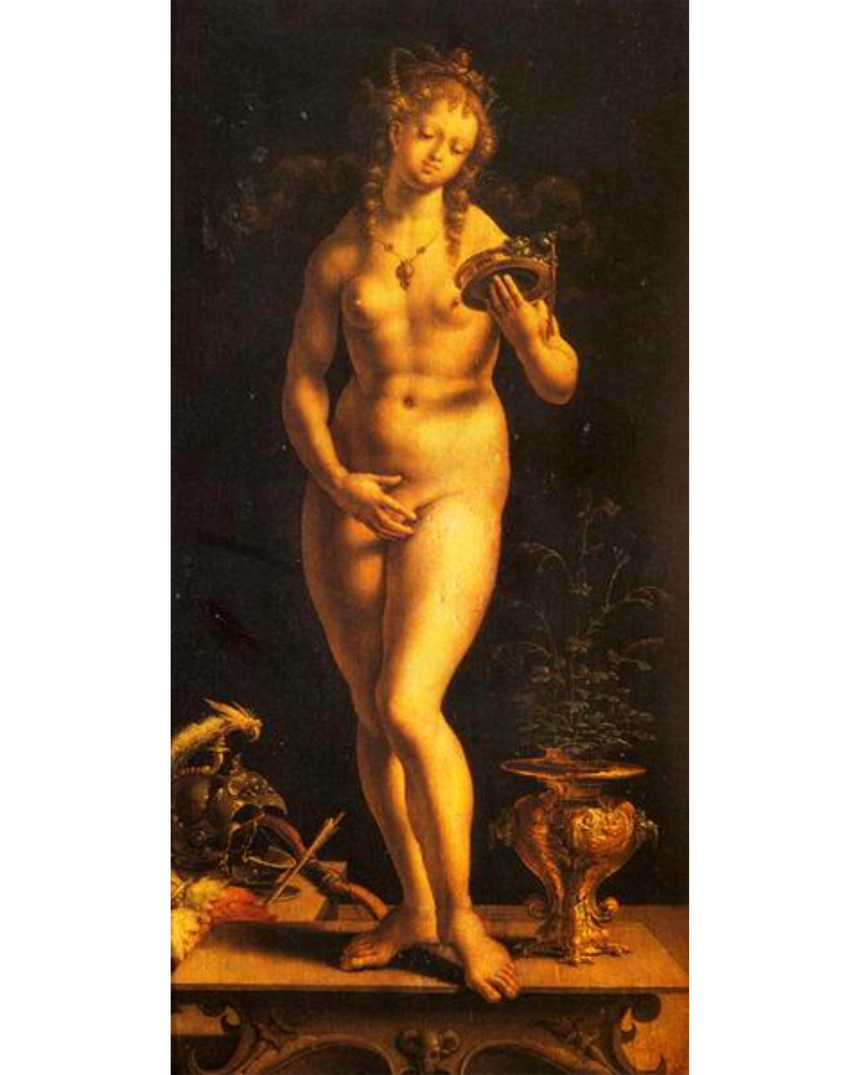 Venus and the Mirror